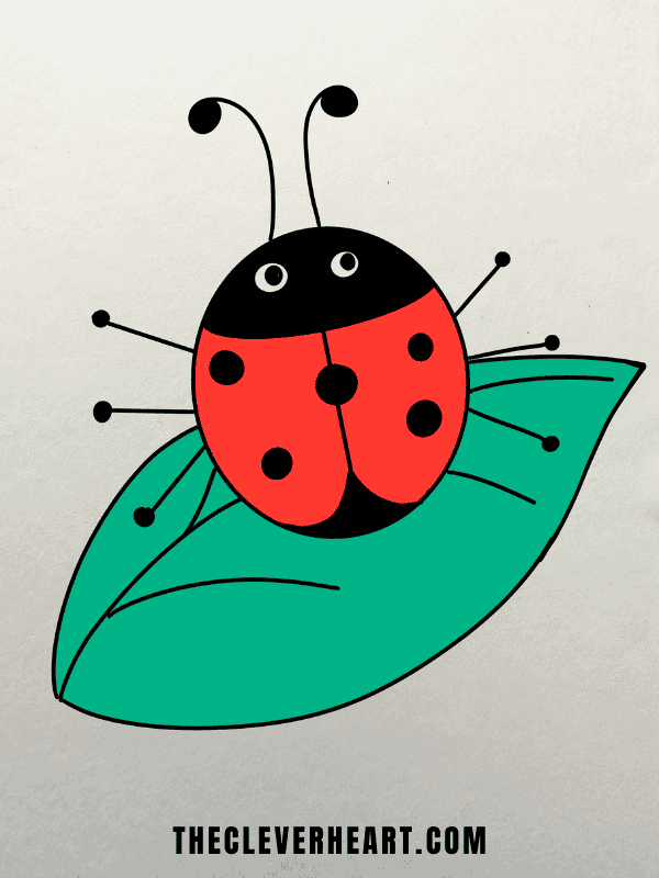 cute easy ladybug drawing