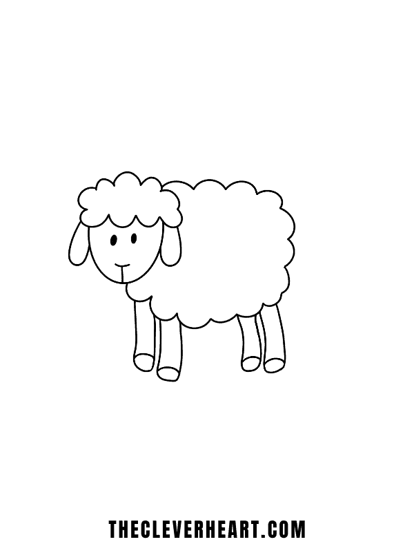 cute easy sheep drawing