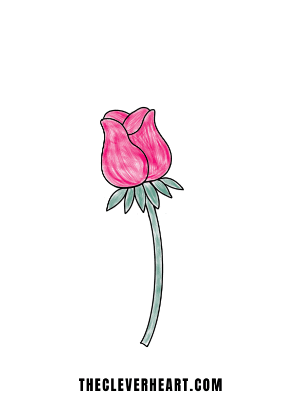 easy rose drawing