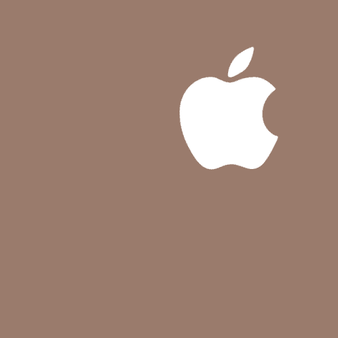 APPLE SUPPORT brown app icon