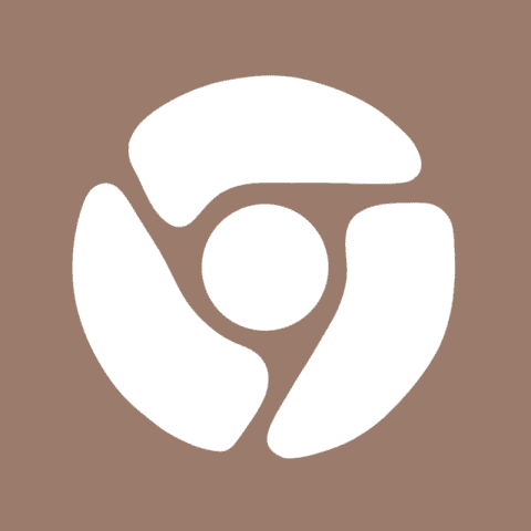 CHROME brown app icon