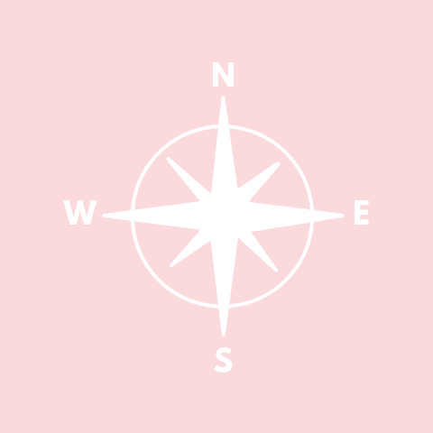 COMPASS light pink app icon