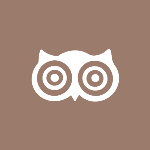 DUOLINGO brown app icon