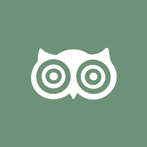 DUOLINGO green app icon