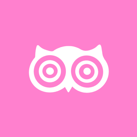 DUOLINGO pink app icon