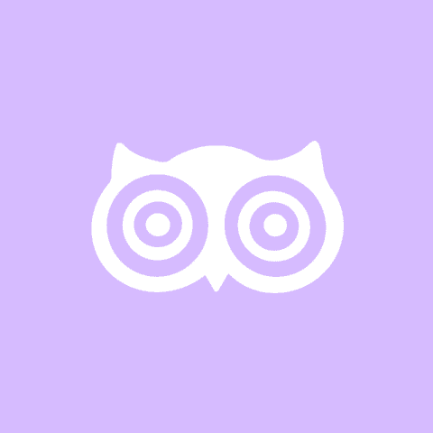 DUOLINGO purple app icon