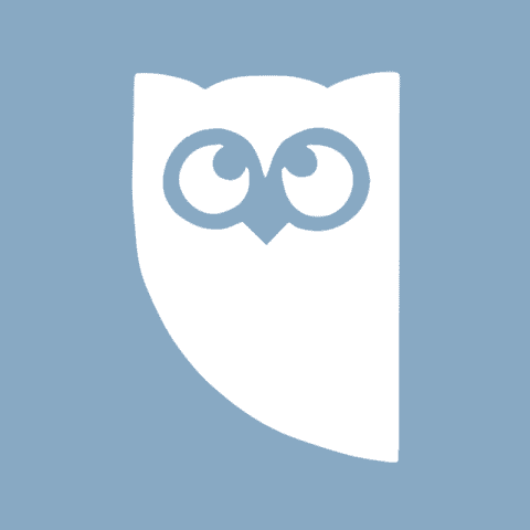 HOOTSUITE blue app icon