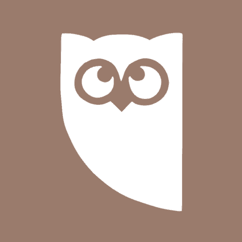 HOOTSUITE brown app icon