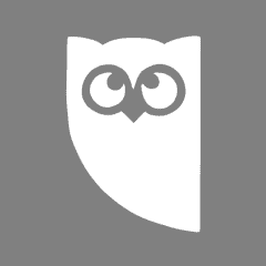 HOOTSUITE grey app icon