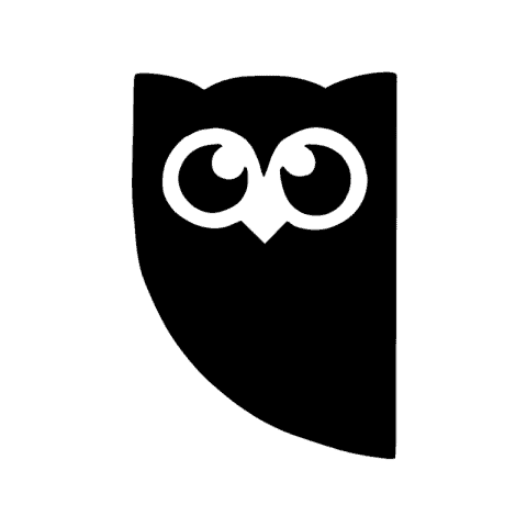 HOOTSUITE white app icon