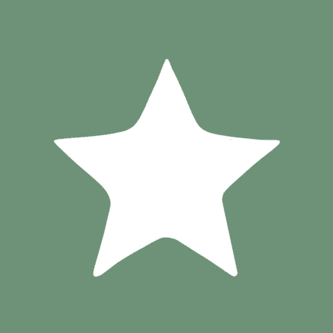 ITUNES STORE green app icon