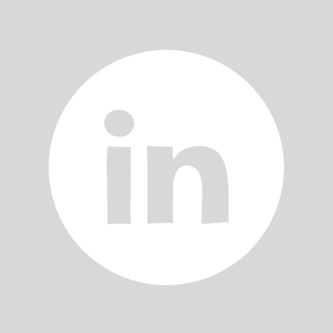 LINKEDIN light grey app icon