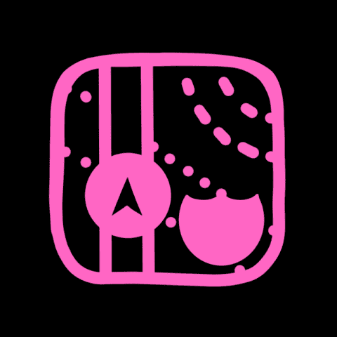 MAPS black and pink app icon