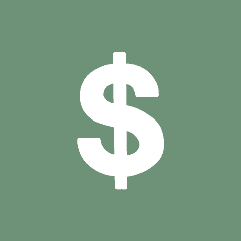 MONEY green app icon