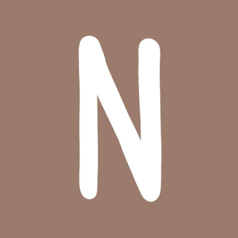 NETFLIX brown app icon