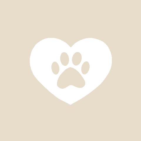 PET beige app icon