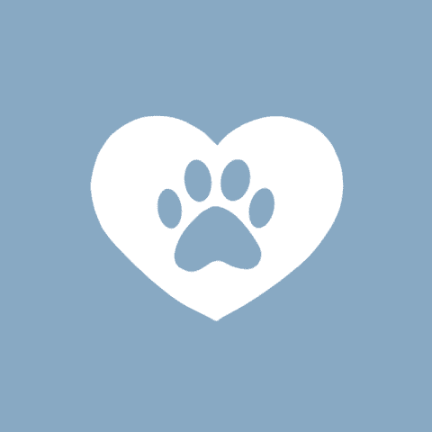 PET blue app icon