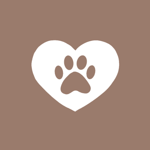 PET brown app icon