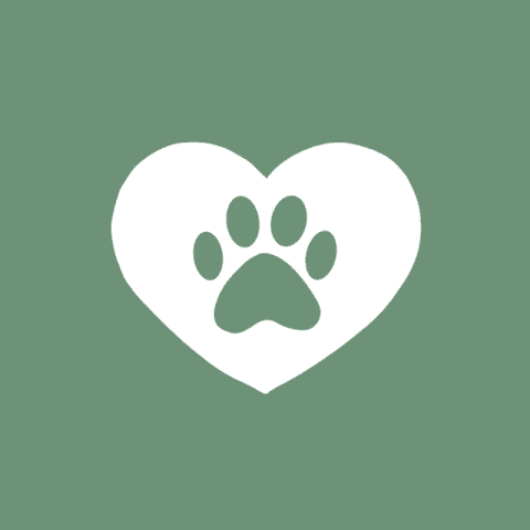 PET green app icon