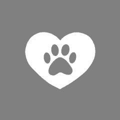 PET grey app icon