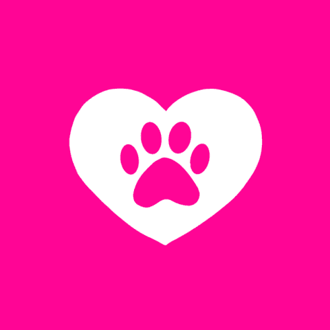 PET hot pink app icon