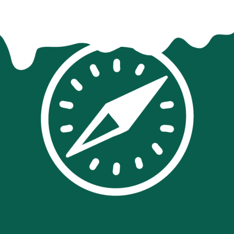 SAFARI christmas green app icon