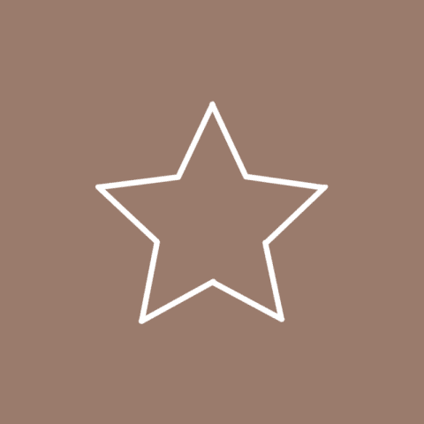 STAR brown app icon
