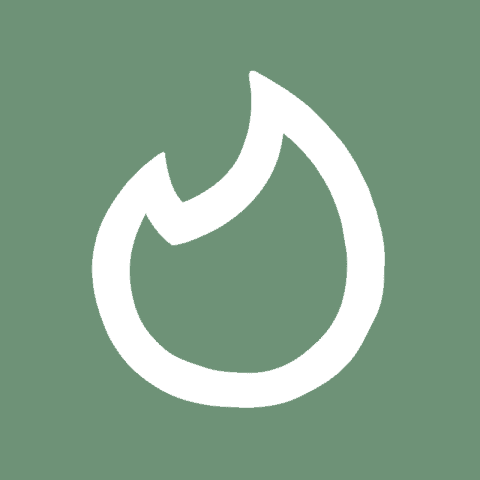 TINDER green app icon