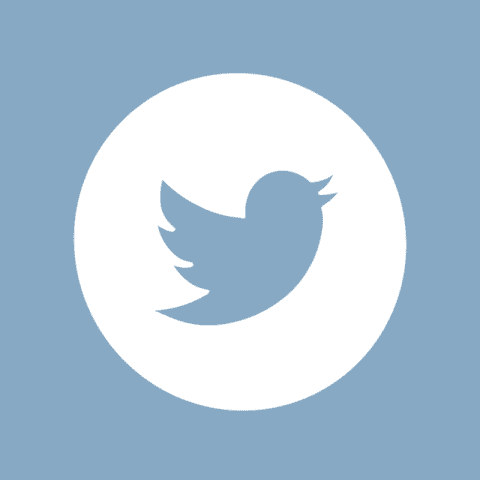 TWITTER blue app icon