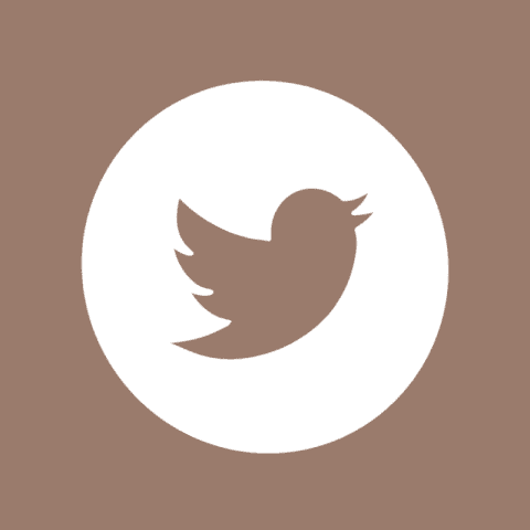 TWITTER brown app icon