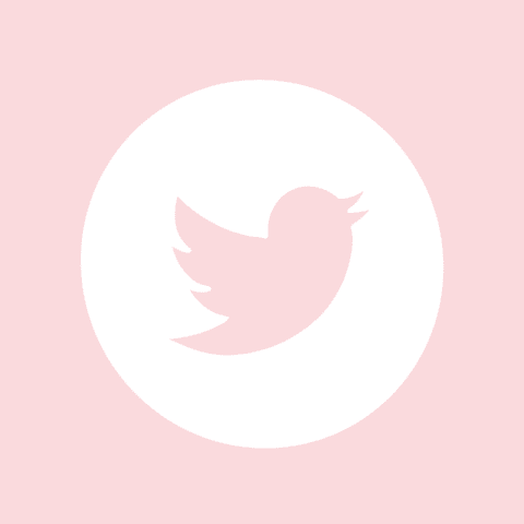 TWITTER light pink app icon