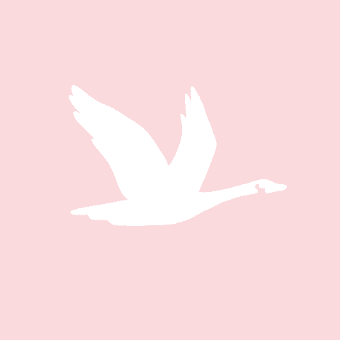 WAWA light pink app icon