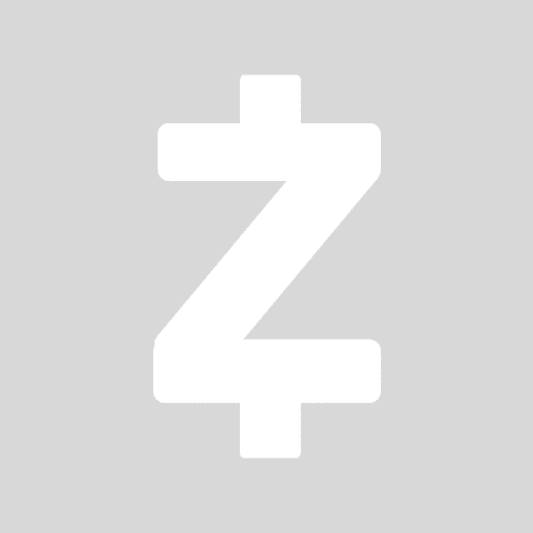 ZELLE light grey app icon