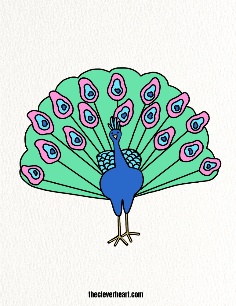 peacock drawing