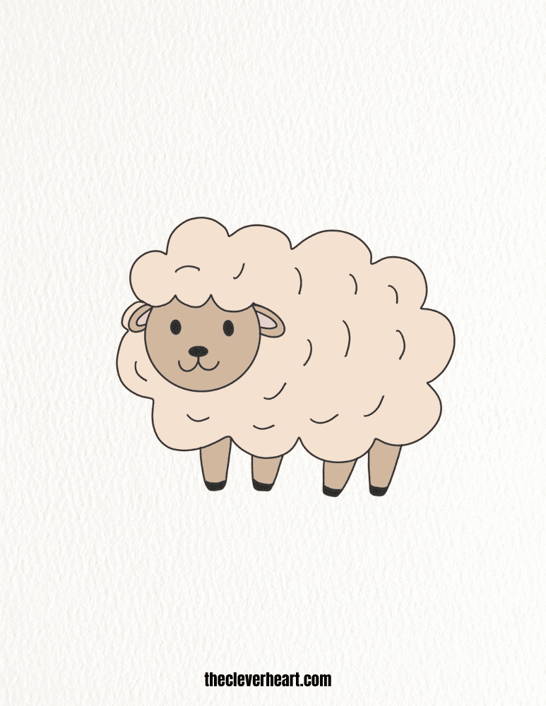 drawing of a sheep