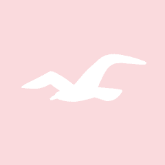 HOLLISTER light pink app icon