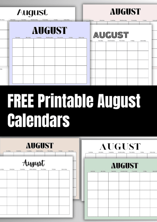 August 2024 Printable Calendar (Free Printable Calendars)