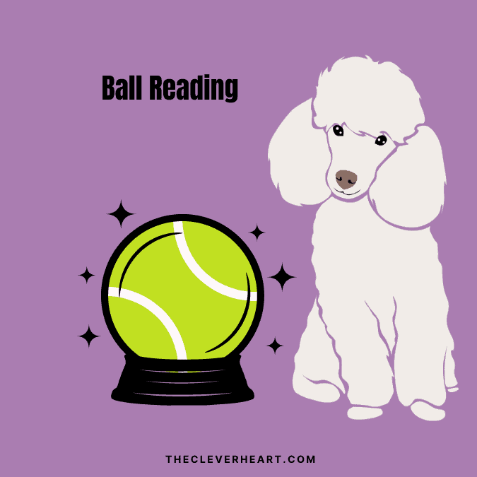 ball reading pet puns