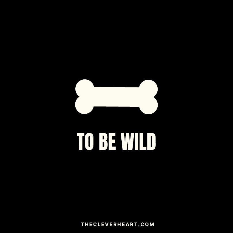 bone to be wild pun