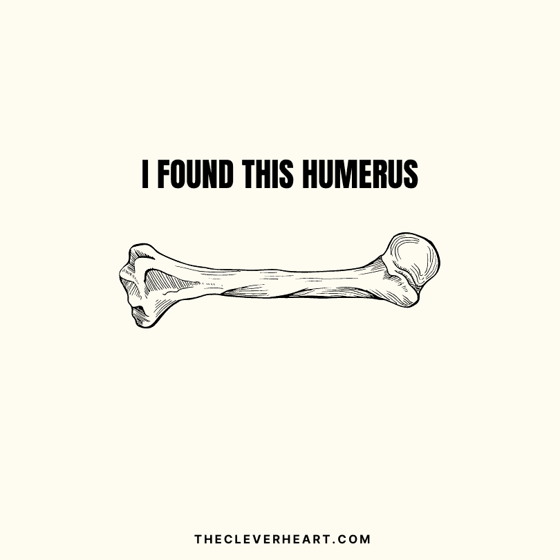 i found this humerus bone pun