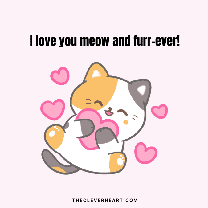 i love you meow and furrever