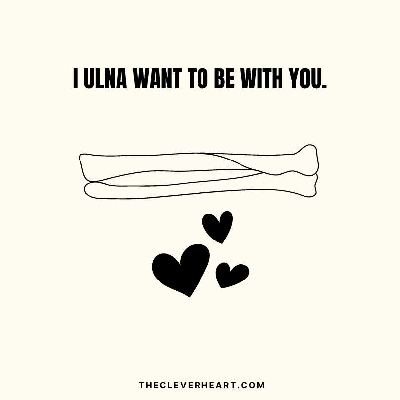 i ulna want to be with you bone puns