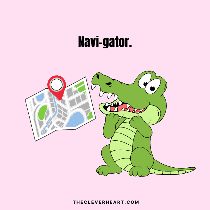 navi gator