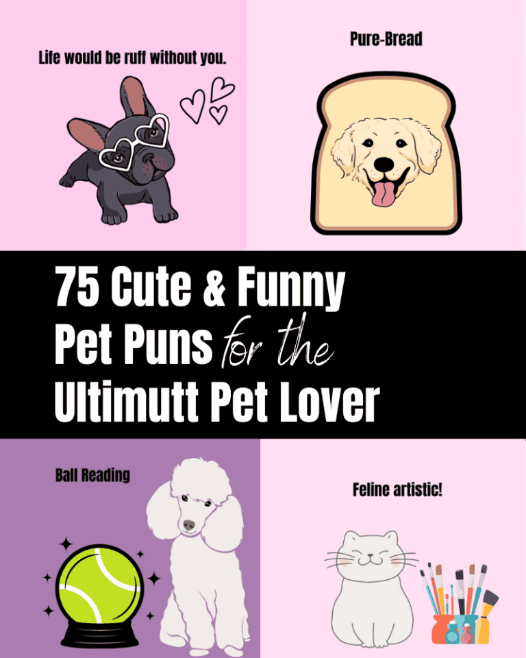 75 Cute & Funny Pet Puns for the Ultimutt Pet Lover The Clever Heart(01)