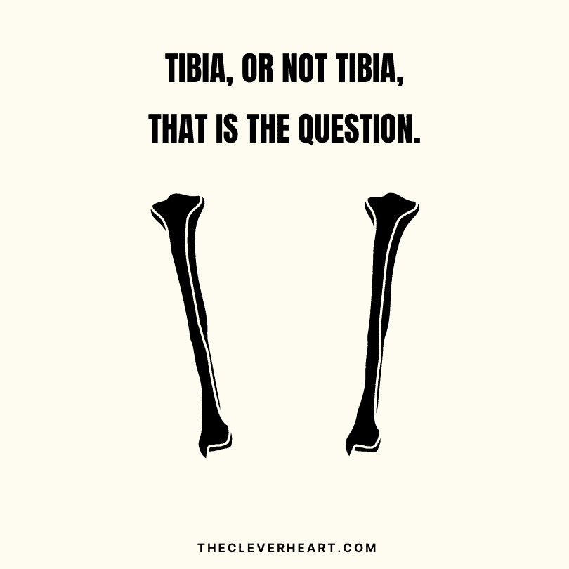 tibia or not tibia that is the question bone puns