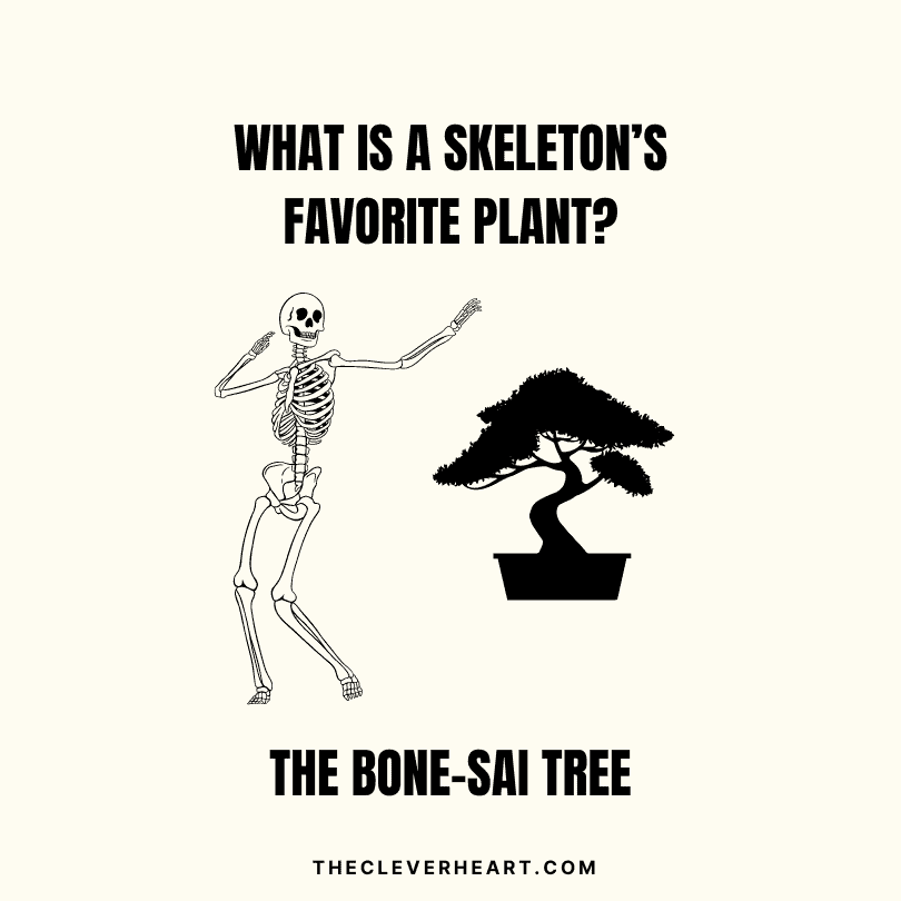 what is a skeletons favorite plant puns