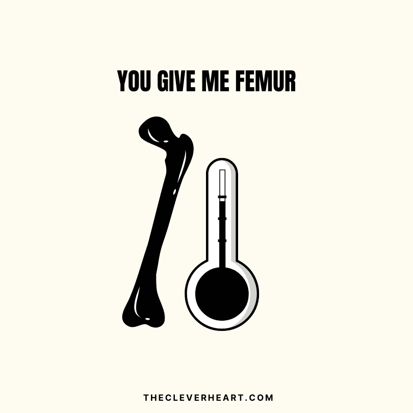 you give me femur bone pun