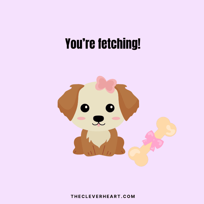 you're fetching