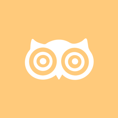 DUOLINGO pastel orange app icon