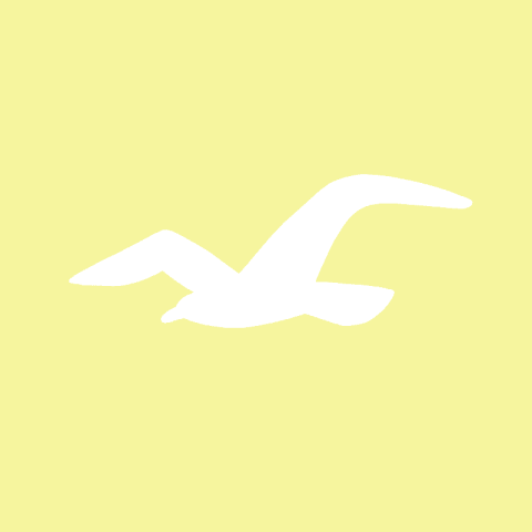 HOLLISTER pastel yellow app icon